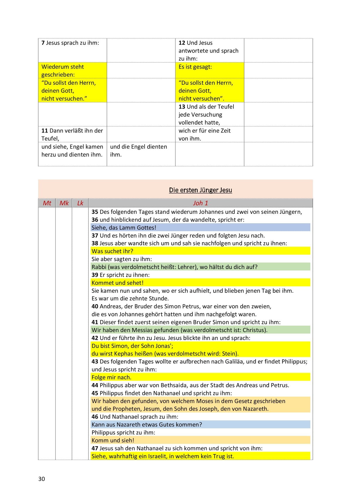 Synoptische Evangelien: Unrevidierte Elberfelder 1905